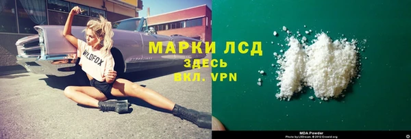 индика Алексин