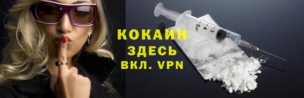 индика Алексин