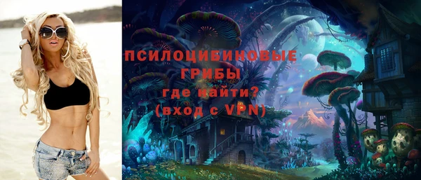 индика Алексин