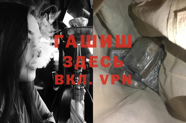 индика Алексин