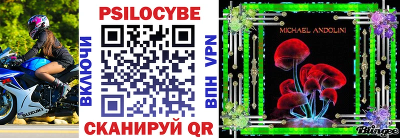 купить наркотик  Зверево  блэк спрут зеркало  Галлюциногенные грибы Psilocybine cubensis 